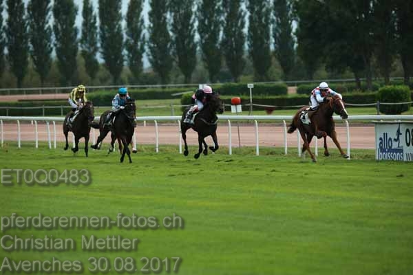 ET0Q0483 prot